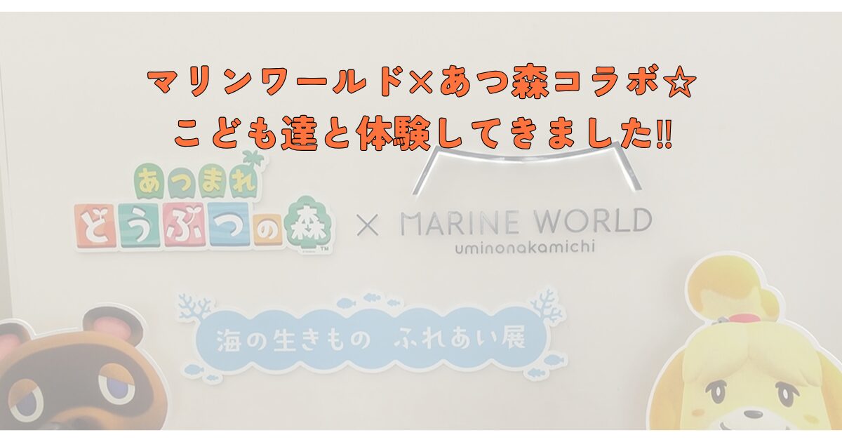 マリンワールド×あつ森　コラボ